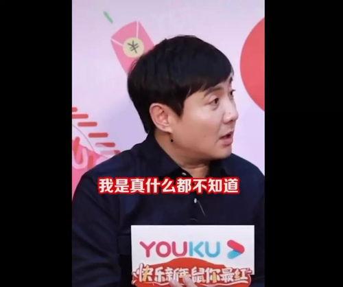娱乐八卦吃瓜小能手是谁,揭秘“娱乐八卦吃瓜小能手”背后的神秘人物